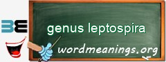 WordMeaning blackboard for genus leptospira
